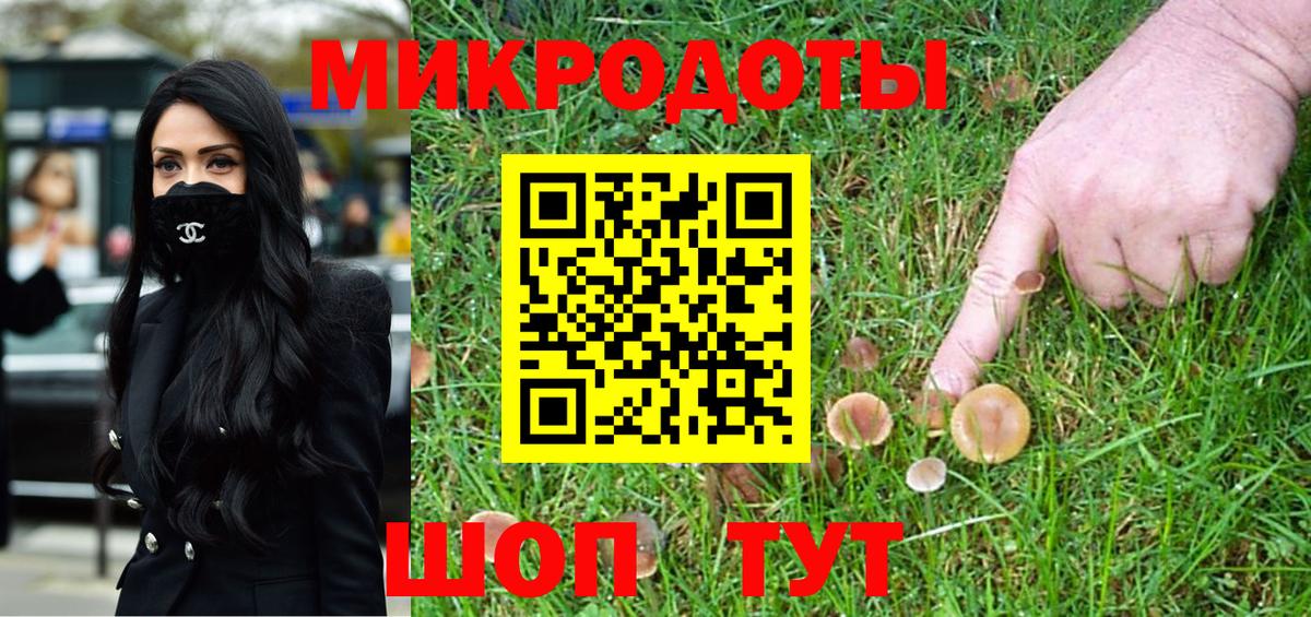 Галлюциногенные грибы Psilocybe Артём